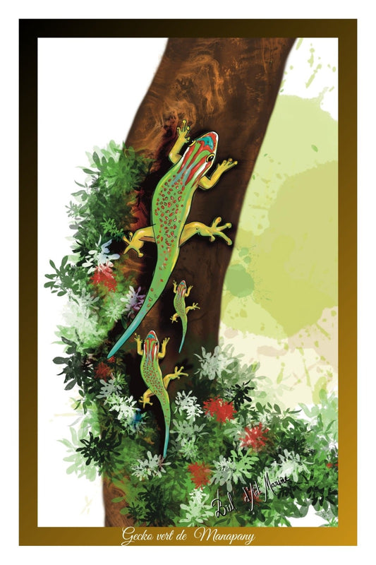 Carte Postale – Gecko vert de Manapany