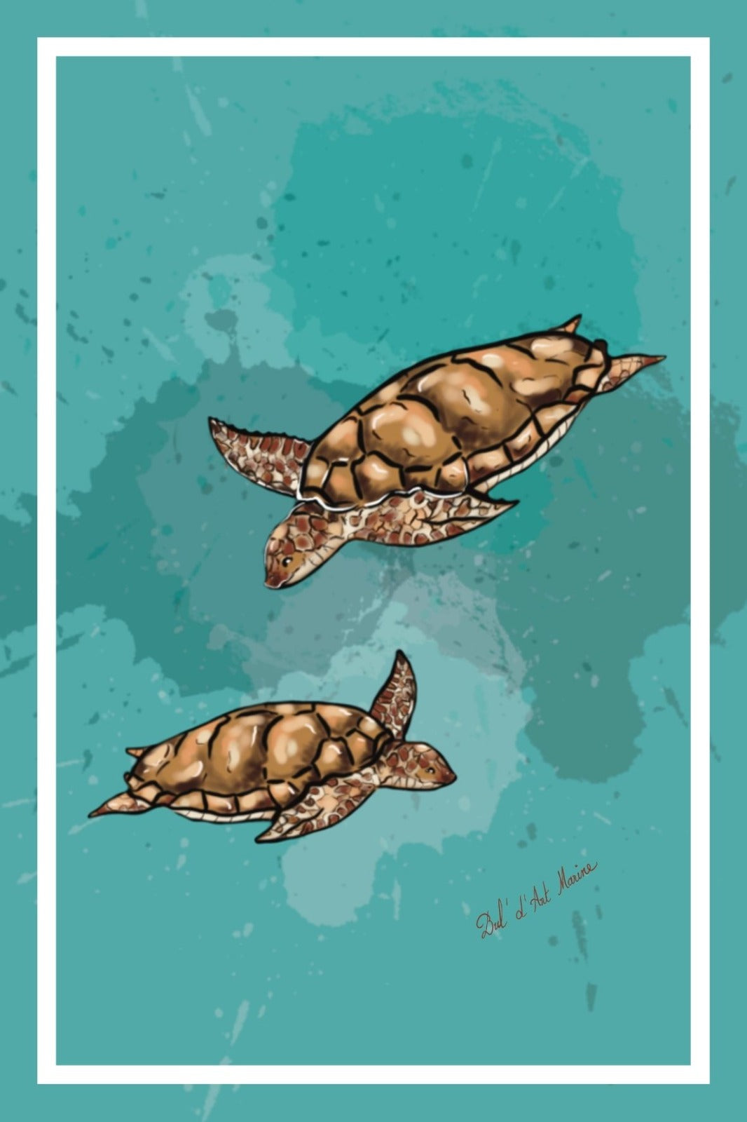 Tortues de mer