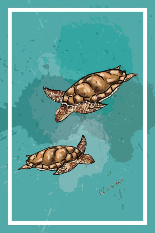 Tortues de mer