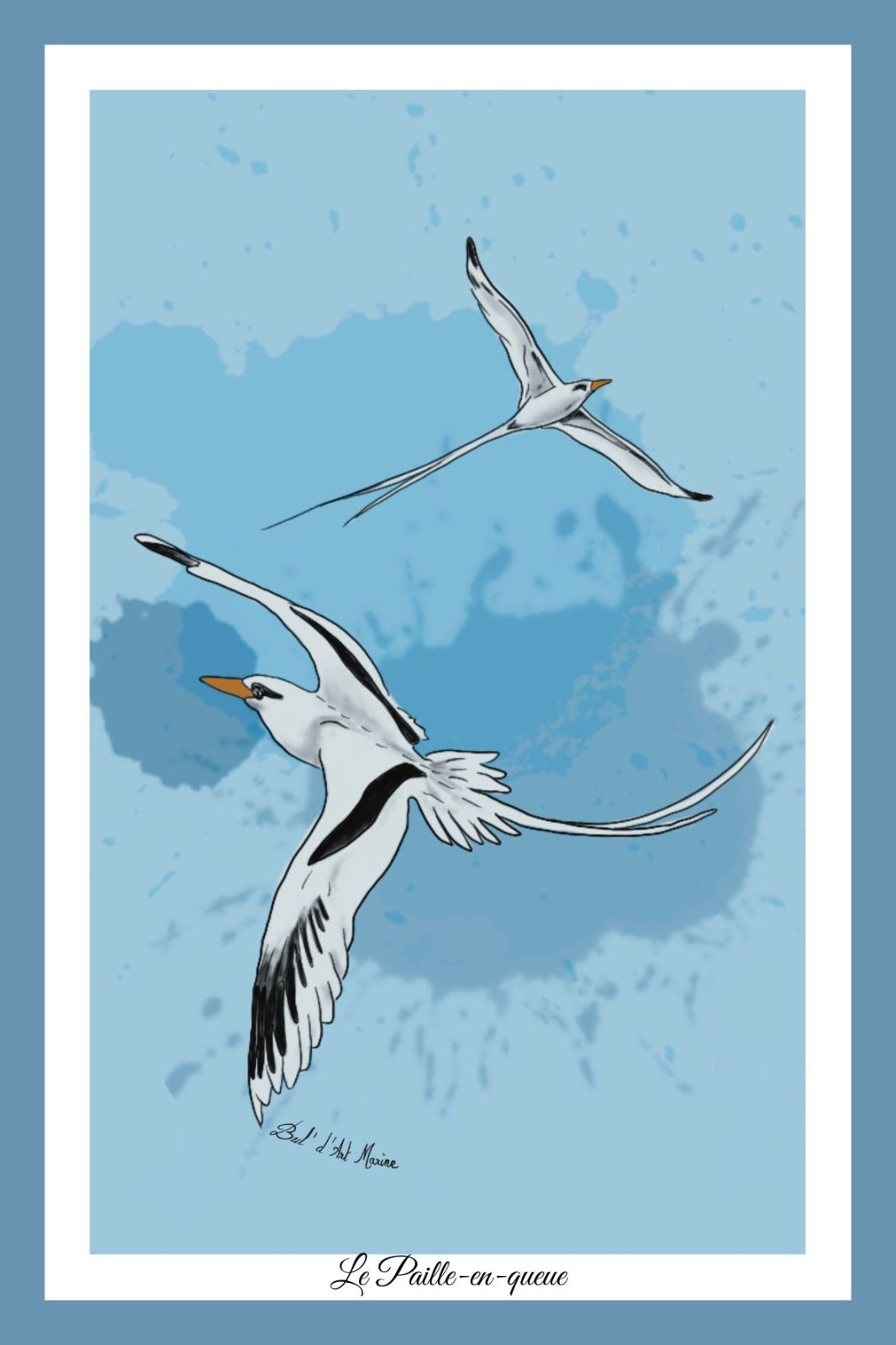 Carte Postale – Le Paille-en-Queue
