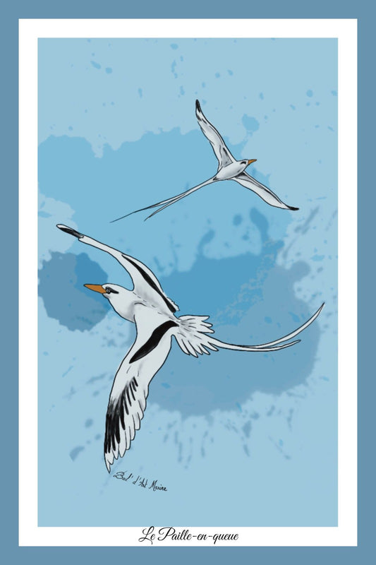 Carte Postale – Le Paille-en-Queue