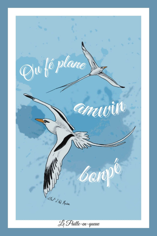 Carte Postale – “Ou fé plane amwin bonpé”