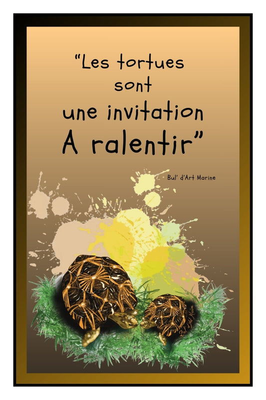 Carte Postale – “Les tortues sont une invitation à ralentir”