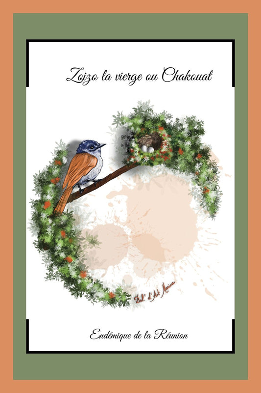 Carte Postale – Zoizo la Vierge (Chakouat)